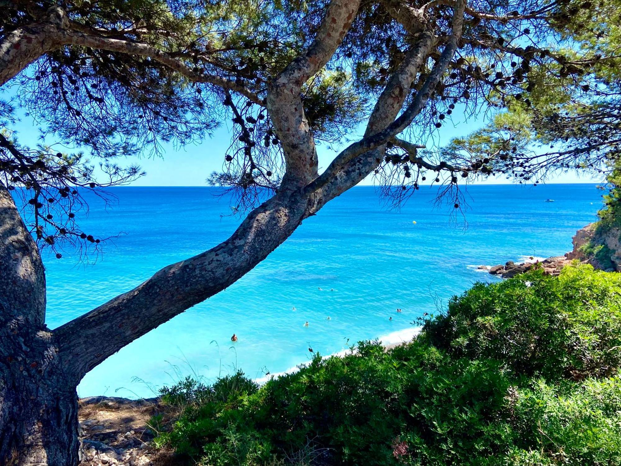 Coqueto Atico Con Vistas Al Mar Y A La Montana Auto Check-in Apartment *